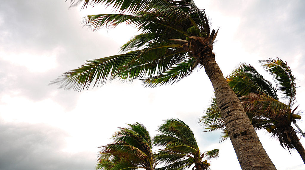 Ten Tips to Prepare Your Home and Family for Emergencies