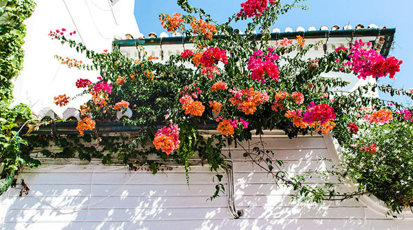 The DIY Days of Summer