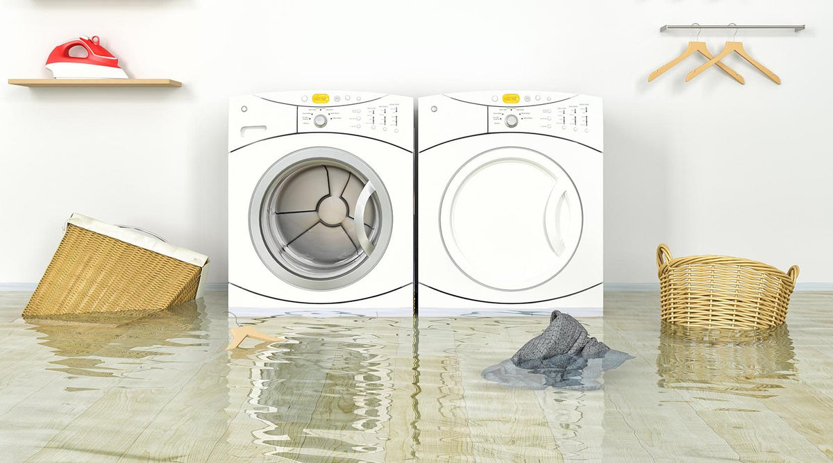Water Damage and What You Can Do to Minimize It
